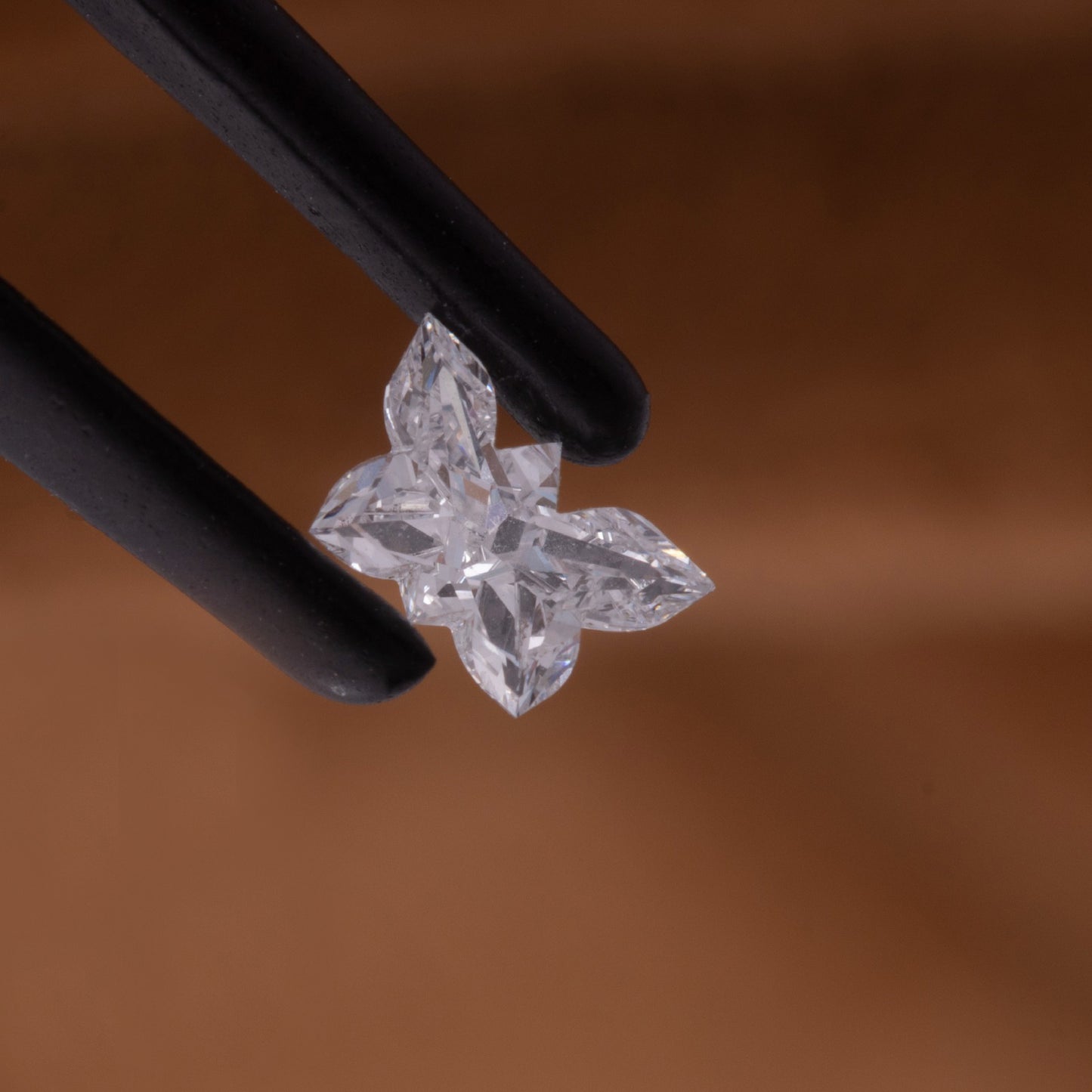 Butterfly shape Diamond